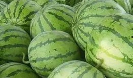 如何免费吃瓜,轻松解锁瓜界盛宴